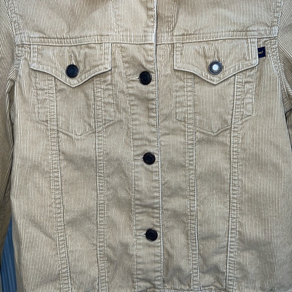 Abercrombie & Fitch Women Corduroy Tan Jacket Size M - Picture 2 of 12